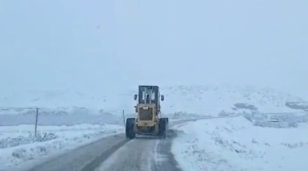 Qobustan avtomobil yolu İFLİC durumda – VİDEO