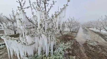 Qazaxıstanı don vurdu
