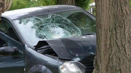 Şəkidə maşın ağaca çırpıldı &ndash; Xəsarət alan var