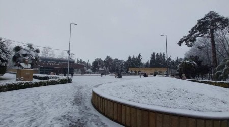 Biləsuvara mövsümün ilk qarı yağdı - FOTO