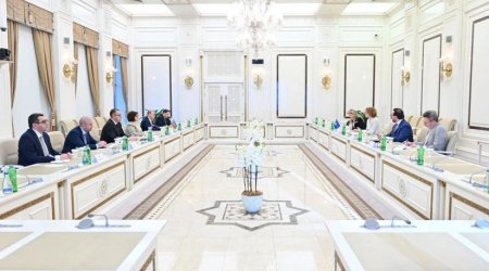 Milli Məclislə NATO PA arasında gələcək əməkdaşlıq perspektivləri müzakirə edildi - FOTO