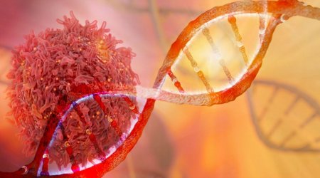 Xərçəngə qarşı ŞOK İNQİLAB