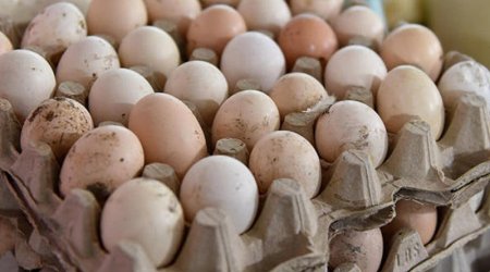 Marketlərin HİYLƏSİ - Kənd yumurtası adı altında TƏHLÜKƏ satılır