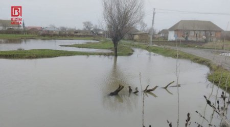 Masallıda əkin sahələri su altında qaldı &ndash; FOTO