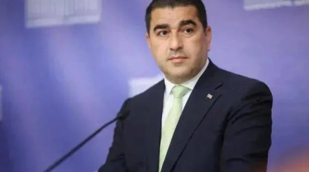 Papuaşvili: &ldquo;Mixael Qaler Gürcüstan rəsmilərindən üzr istəməlidir&rdquo;