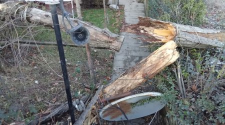 İsmayıllıda güclü külək fəsadlar törətdi - FOTO/VİDEO