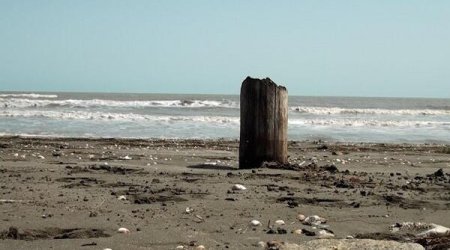 Xəzər geri çəkilir: Yeni ekosistem yaranır &ndash; FOTO