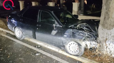 Gəncədə avtomobil ağaca çırpıldı - Xəsarət alan var - FOTO