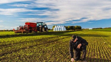 Fermerlərə ŞAD XƏBƏR!