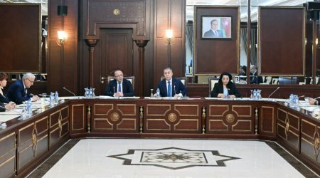 &ldquo;Yerin təki haqqında&rdquo; Qanunda dəyişiklik edilir - VİDEO