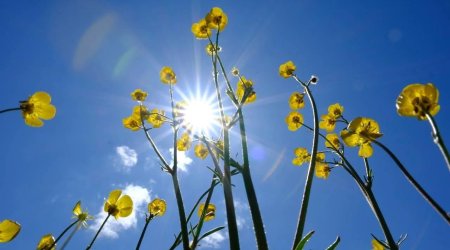 Faktiki hava AÇIQLANDI: Bakıda 26 dərəcə isti...