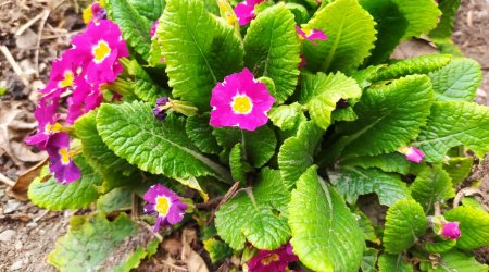 Bu bölgəmizdə temperatur yenidən aşağı endi - FOTO