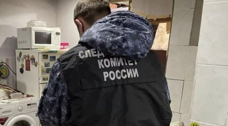 Yeniyetmə anasını öldürdü, meyiti zirzəmidə gizlətdi