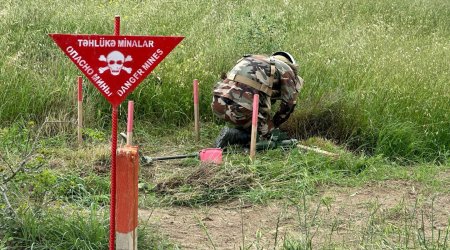 FHN minatəmizləmə fəaliyyətində iştirak edəcək &ndash; FƏRMAN