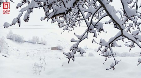 Qışın son günündə təbiət SÜRPRİZİ &ndash; FOTO