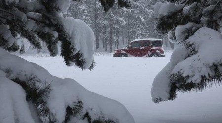 Qaxda qarın hündürlüyü 40 sm-ə ÇATDI &ndash; VİDEO
