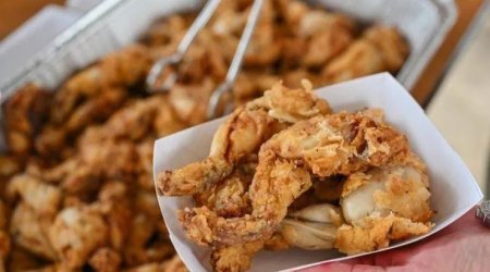 Azərbaycan bu ölkələrə 23 tondan çox qurbağa əti SATDI