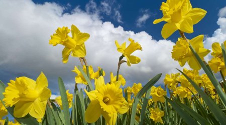 Martın ilk iş günündə hava necə olacaq?
