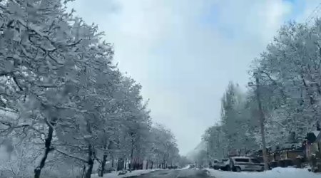 İlisu kəndi qar yağanda nağıllar aləminə bənzəyir - VİDEO