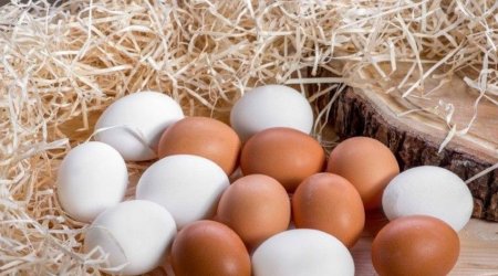Marketlərdə saxta yumurta satılır? &ndash; AÇIQLAMA