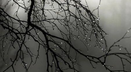 Növbəti 2 gün hava necə olacaq?