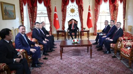 Ərdoğan TDT-yə üzv dövlətlərin xarici işlər nazirlərini QƏBUL ETDİ