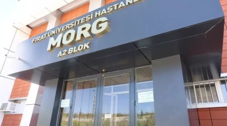 Oğlunu bıçaqlayan şəxsi ov tüfəngi ilə vuraraq öldürdü