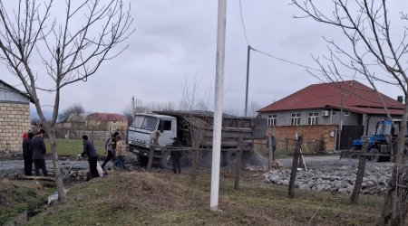 Zaqatalanın Dağlı kənd sakinlərindən çoxlarına örnək - FOTO