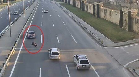 Maşın yola qaçan qadını vurdu &ndash; ANBAAN VİDEO