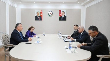 Əli Əsədov Kosta Rikanın Birinci vitse-prezidenti ilə görüşüb