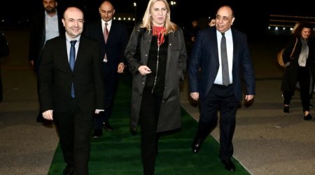 Bosniya və Herseqovina Rəyasət Heyətinin üzvü Azərbaycana səfərə gəlib