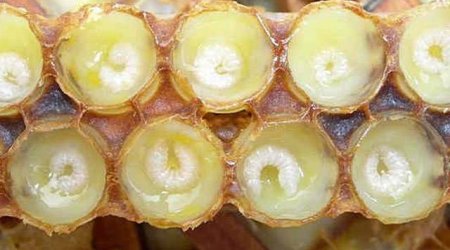 Azərbaycanda cəmi 254 kiloqram istehsal olunub, qramı 6.8 manata satılır