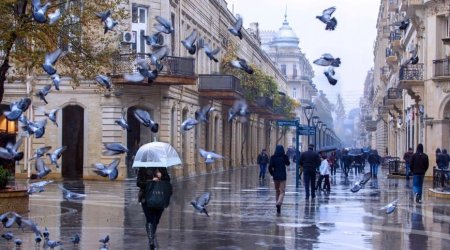 Sabahın HAVASI: Güclü külək əsəcək, yağış yağacaq