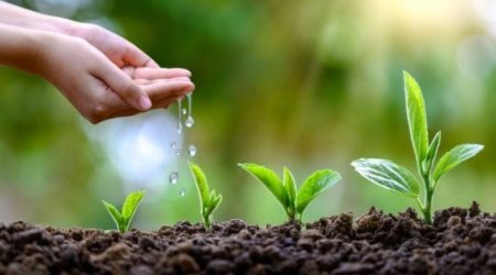 Bu gün İlaxır çərşənbədir