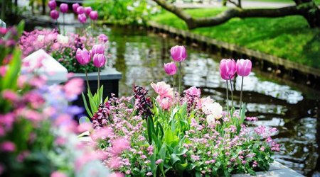 Azərbaycana yaz gəldi