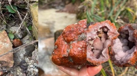 Üstündən əzib keçirlər, amma içindən xəzinə çıxır &ndash; FOTO