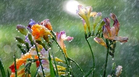 GÜNÜN HAVASI: Güclü yağış, subasma...