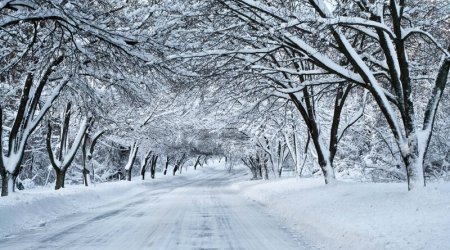 Şahdağ və Qrıza qar yağır - FAKTİKİ HAVA