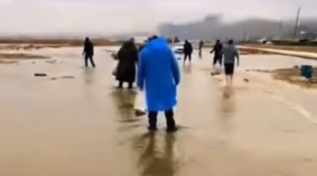 Sədərək gölü daşdı, balıqlar əllə tutuldu - VİDEO