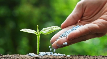 Azərbaycan gübrə idxalına çəkdiyi xərci KƏSKİN ARTIRIB