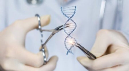 Azərbaycanda insanın klonu patent obyekt kimi qəbul EDİLMƏYƏCƏK