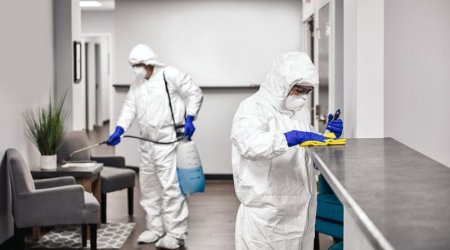 Evləri, ofisləri həşəratlar basıb &ndash; Dezinfeksiya işlərini kim APARMALIDIR?