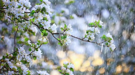 Yağış yağacaq, güclü külək əsəcək &ndash; SABAHIN HAVASI