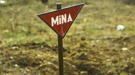 Minatəmizləmə fəaliyyətində həyatını itirənlərin ailə üzvləri üçün YENİ GÜZƏŞT