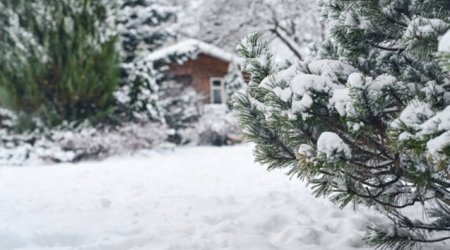 Xınalıq kəndinə qar yağdı - ANBAAN VİDEO