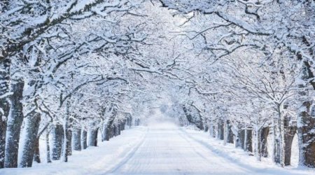 FAKTİKİ HAVA: Bəzi rayonlara yağış, dağlıq ərazilərə qar yağır