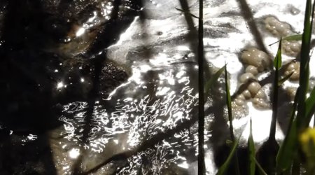 Zığ sakinləri təhlükə içində: "Uşaq gözümün qabağında kanala düşdü" - VİDEO
