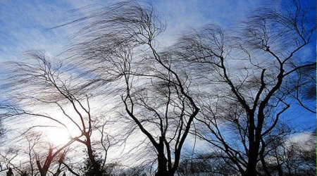 Küləkli hava ilə bağlı XƏBƏRDARLIQ