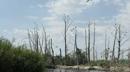 Qobustanda uşaq gölməçəyə düşərək ölüb