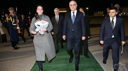 Litvanın Baş naziri Azərbaycana səfərə gəldi - FOTO